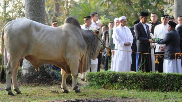 Hal-Hal Yang Disunnahkan Sebelum Shalat Idul Adha